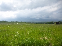 p1120637.jpg
