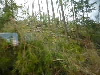 p1120659.jpg