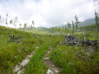 p1120739.jpg