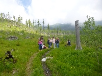 p1120741.jpg