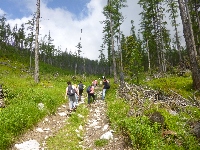 p1120742.jpg
