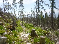 p1120750.jpg