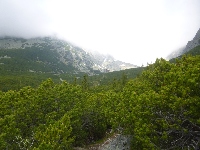 p1120756.jpg