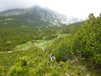 p1120757.jpg