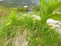 p1120758.jpg