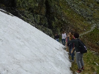 p1120790.jpg