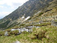 p1120836.jpg