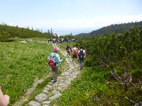 p1120854.jpg