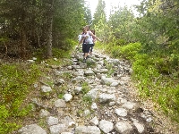 p1120857.jpg