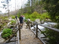 p1120860.jpg