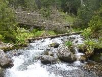 p1120861.jpg