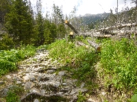 p1120863.jpg
