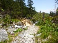 p1120864.jpg