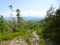 p1120866.jpg