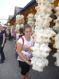 p1120871.jpg