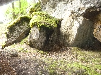 p1130001.jpg