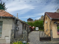 p1130026.jpg