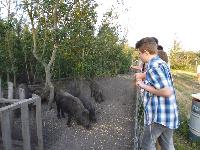 p1000200.jpg