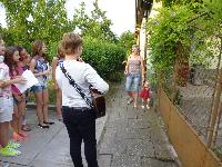 p1000381.jpg