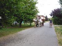 p1000390.jpg
