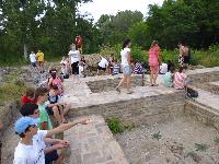 p1000529.jpg