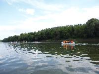 p1000535.jpg