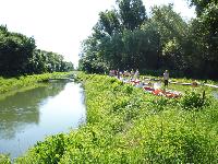 p1000556.jpg