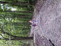 sam_0889.jpg