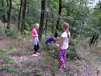 sam_0890.jpg