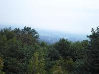 sam_0895.jpg