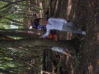 sam_0900.jpg