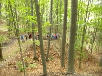 p1150552.jpg