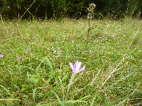 p1150586.jpg