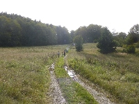 p1150610.jpg