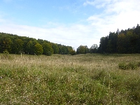 p1150611.jpg