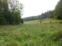 p1150612.jpg