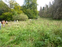 p1150614.jpg
