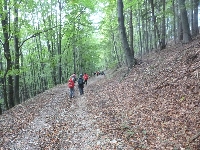 p1150671.jpg