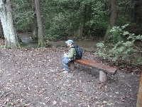 p1150679.jpg