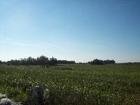 101_5151.jpg