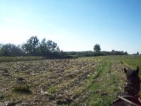 101_5156.jpg