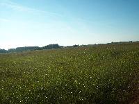 101_5179.jpg