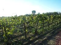 101_5180.jpg