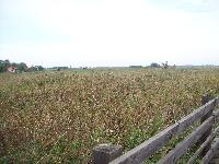 101_5206.jpg