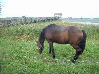 101_5211.jpg