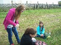 101_5295.jpg