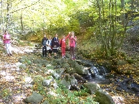 p1160176.jpg