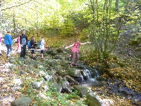 p1160178.jpg