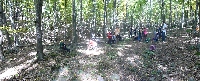 p1160209.jpg