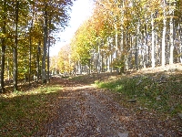 p1160233.jpg